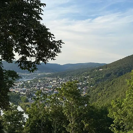Main Panorama 97896